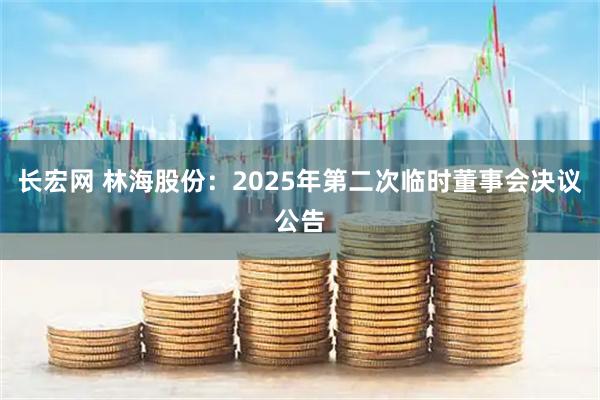 长宏网 林海股份：2025年第二次临时董事会决议公告