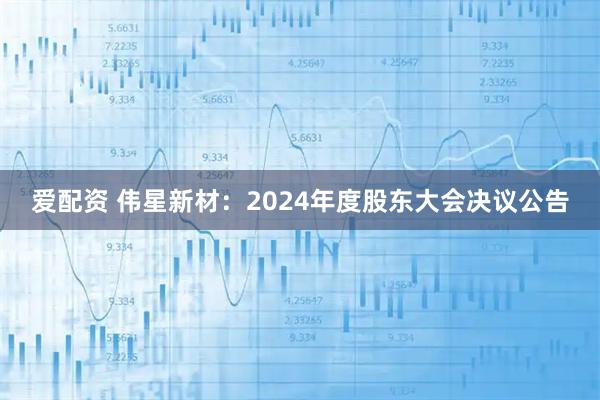 爱配资 伟星新材：2024年度股东大会决议公告