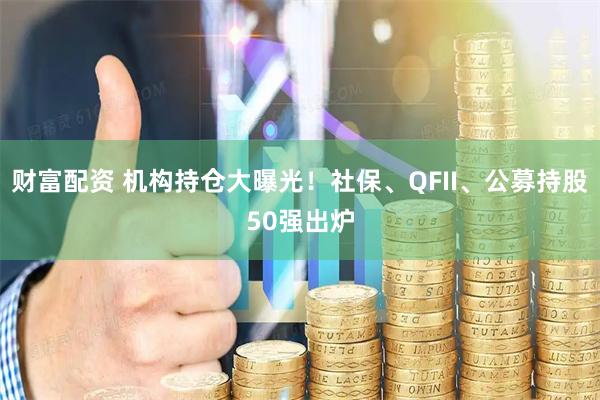 财富配资 机构持仓大曝光！社保、QFII、公募持股50强出炉