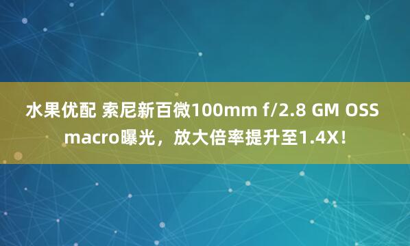 水果优配 索尼新百微100mm f/2.8 GM OSS macro曝光，放大倍率提升至1.4X！