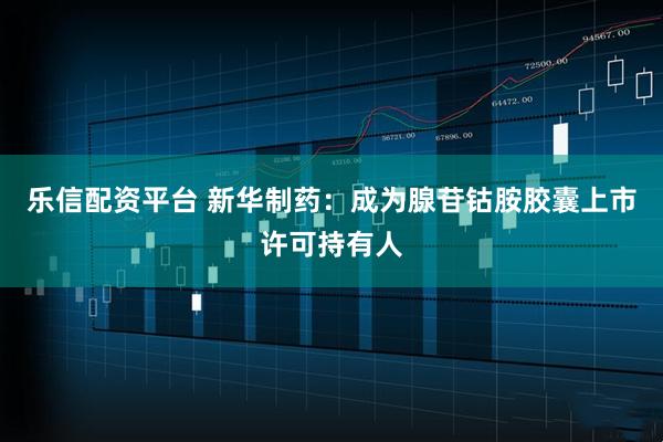 乐信配资平台 新华制药：成为腺苷钴胺胶囊上市许可持有人